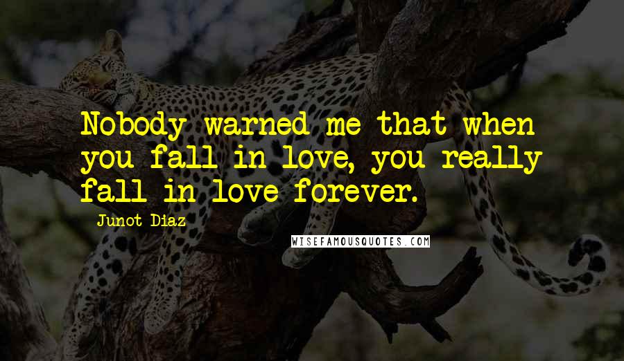 Junot Diaz Quotes: Nobody warned me that when you fall in love, you really fall in love forever.