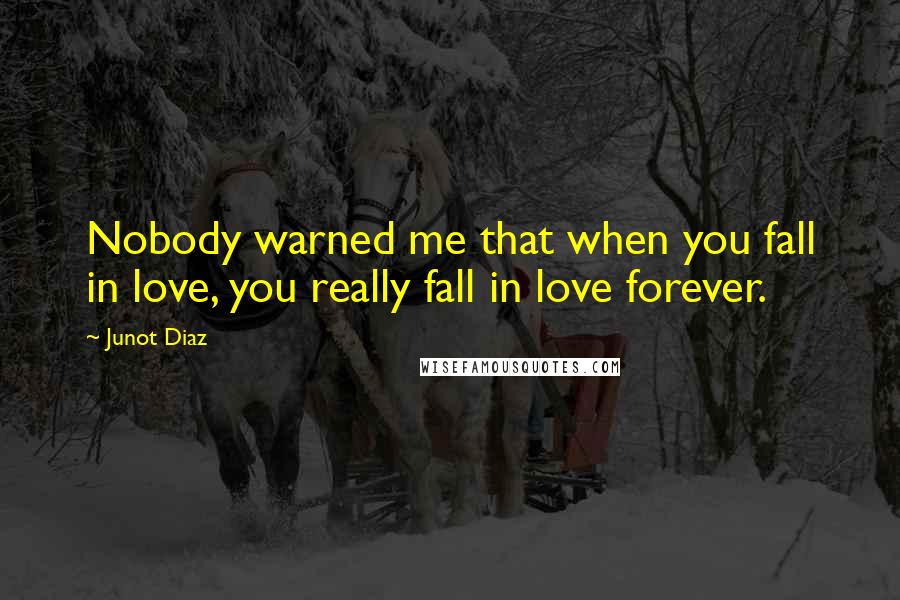 Junot Diaz Quotes: Nobody warned me that when you fall in love, you really fall in love forever.