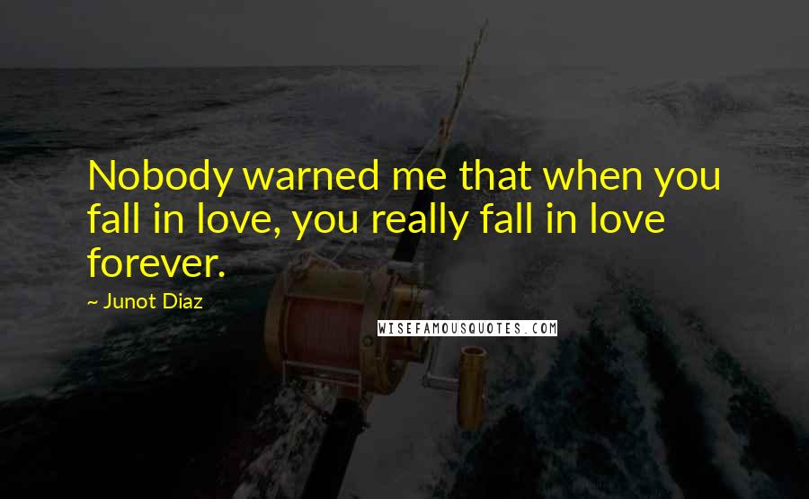 Junot Diaz Quotes: Nobody warned me that when you fall in love, you really fall in love forever.