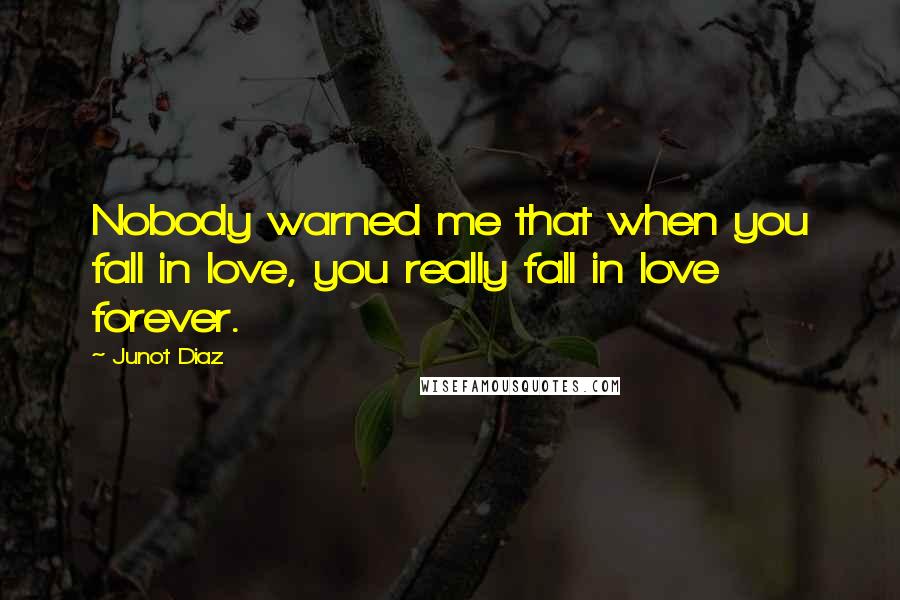 Junot Diaz Quotes: Nobody warned me that when you fall in love, you really fall in love forever.