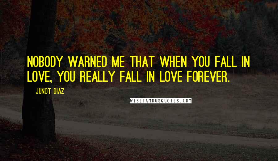 Junot Diaz Quotes: Nobody warned me that when you fall in love, you really fall in love forever.