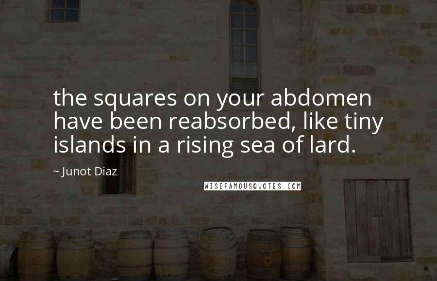 Junot Diaz Quotes: the squares on your abdomen have been reabsorbed, like tiny islands in a rising sea of lard.