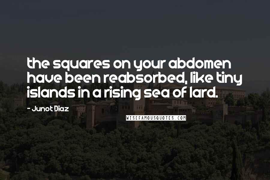 Junot Diaz Quotes: the squares on your abdomen have been reabsorbed, like tiny islands in a rising sea of lard.