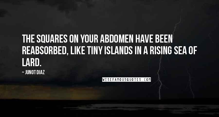 Junot Diaz Quotes: the squares on your abdomen have been reabsorbed, like tiny islands in a rising sea of lard.