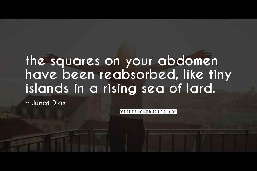 Junot Diaz Quotes: the squares on your abdomen have been reabsorbed, like tiny islands in a rising sea of lard.