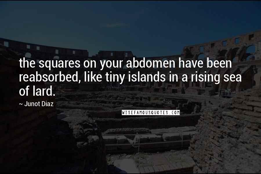 Junot Diaz Quotes: the squares on your abdomen have been reabsorbed, like tiny islands in a rising sea of lard.