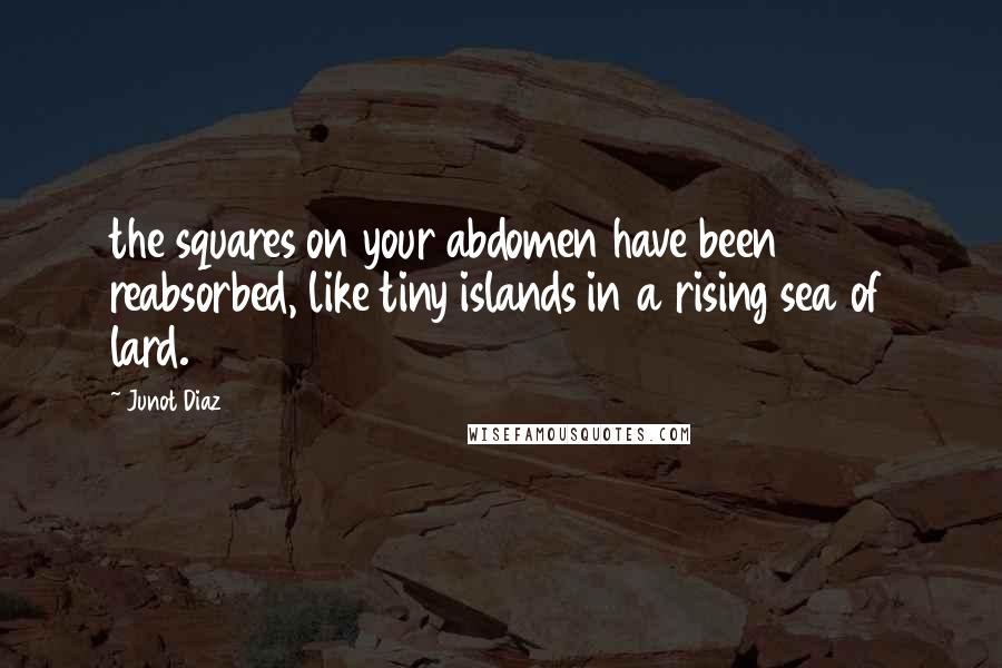 Junot Diaz Quotes: the squares on your abdomen have been reabsorbed, like tiny islands in a rising sea of lard.