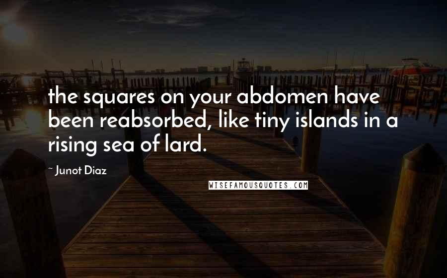 Junot Diaz Quotes: the squares on your abdomen have been reabsorbed, like tiny islands in a rising sea of lard.