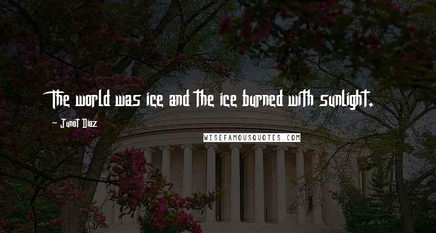 Junot Diaz Quotes: The world was ice and the ice burned with sunlight.