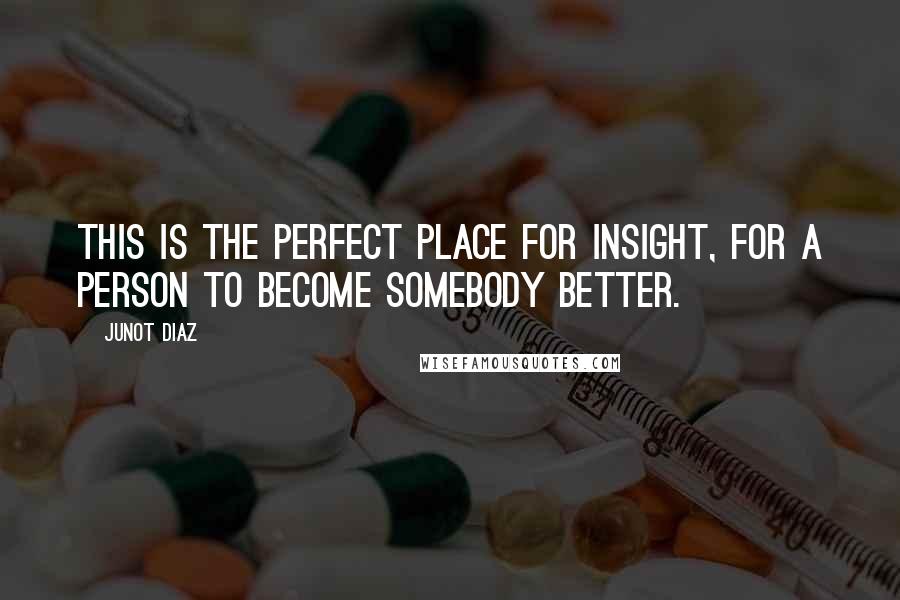 Junot Diaz Quotes: This is the perfect place for insight, for a person to become somebody better.