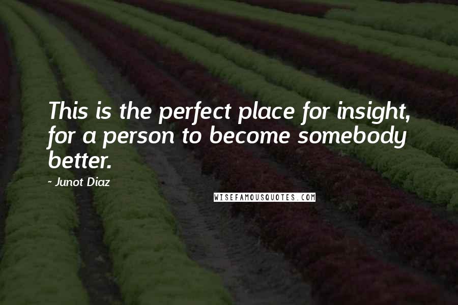 Junot Diaz Quotes: This is the perfect place for insight, for a person to become somebody better.