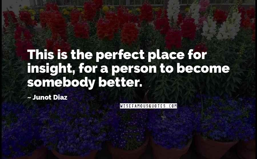 Junot Diaz Quotes: This is the perfect place for insight, for a person to become somebody better.