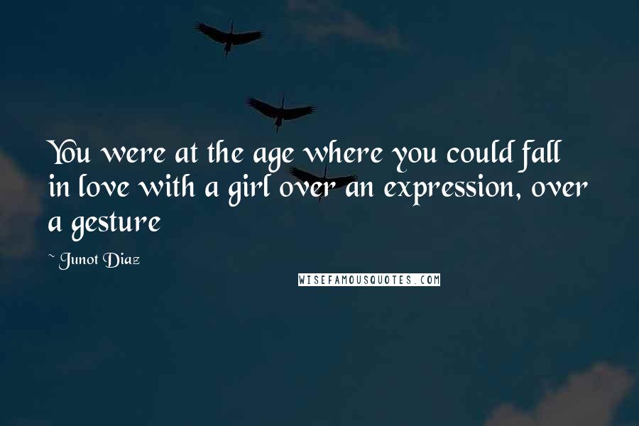 Junot Diaz Quotes: You were at the age where you could fall in love with a girl over an expression, over a gesture