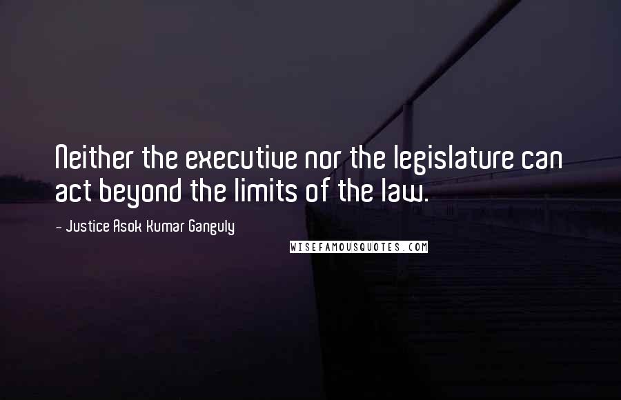 Justice Asok Kumar Ganguly Quotes: Neither the executive nor the legislature can act beyond the limits of the law.