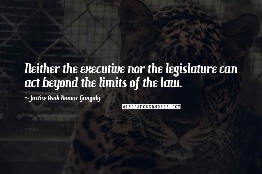 Justice Asok Kumar Ganguly Quotes: Neither the executive nor the legislature can act beyond the limits of the law.