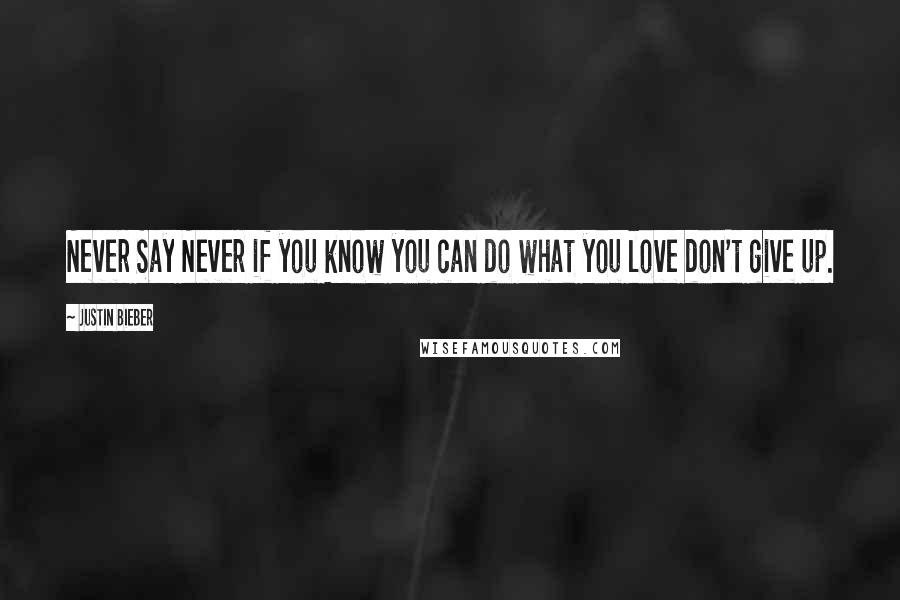 Justin Bieber Quotes: Never Say Never if you know you can do what you love don't give up.