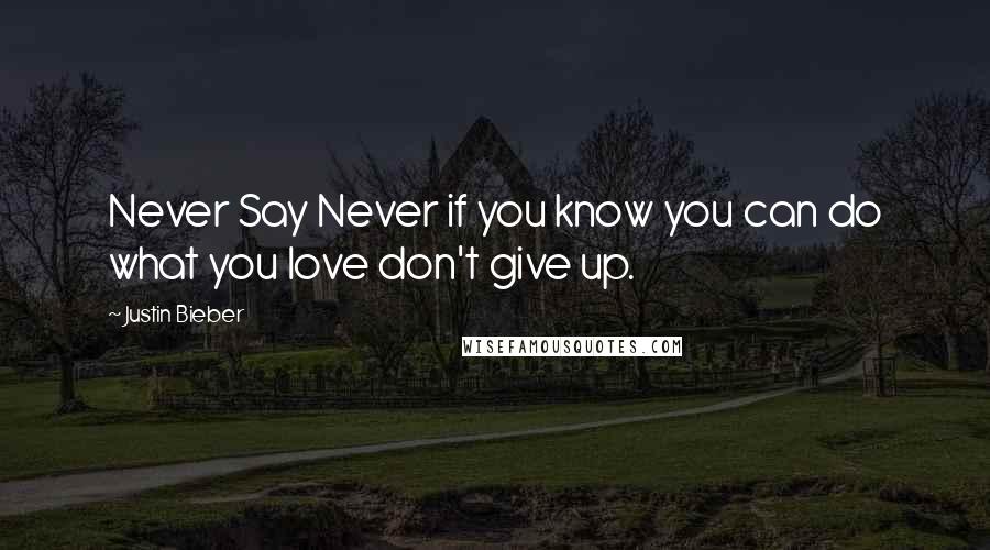 Justin Bieber Quotes: Never Say Never if you know you can do what you love don't give up.