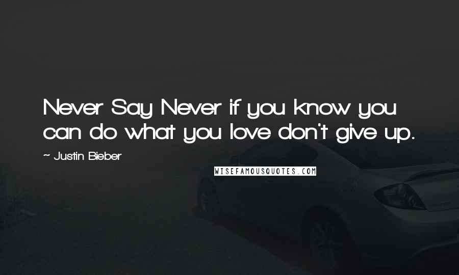 Justin Bieber Quotes: Never Say Never if you know you can do what you love don't give up.