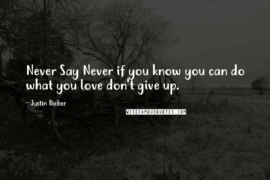 Justin Bieber Quotes: Never Say Never if you know you can do what you love don't give up.