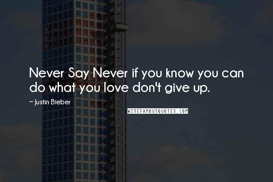 Justin Bieber Quotes: Never Say Never if you know you can do what you love don't give up.