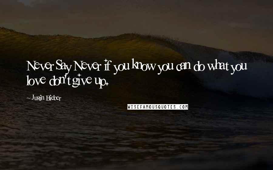 Justin Bieber Quotes: Never Say Never if you know you can do what you love don't give up.