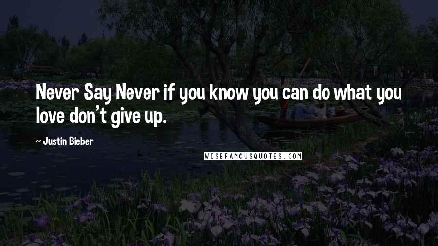 Justin Bieber Quotes: Never Say Never if you know you can do what you love don't give up.