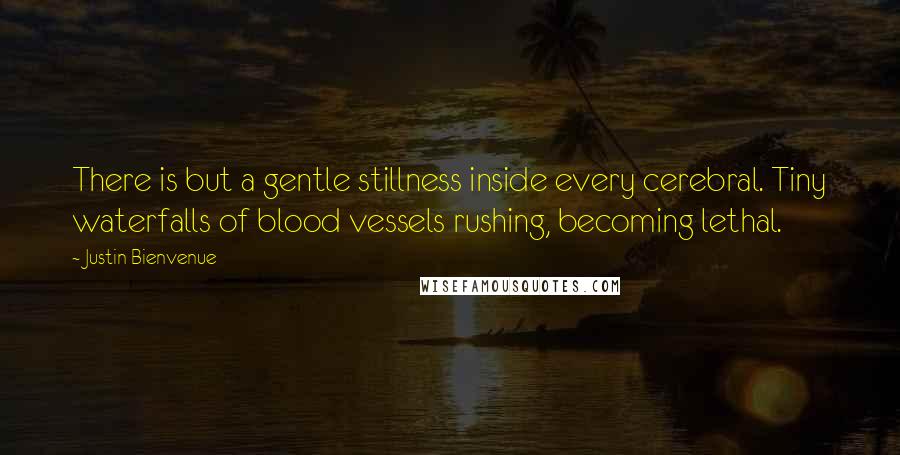 Justin Bienvenue Quotes: There is but a gentle stillness inside every cerebral. Tiny waterfalls of blood vessels rushing, becoming lethal.