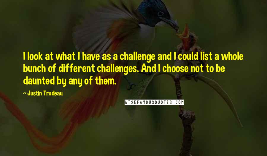 Justin Trudeau Quotes: I look at what I have as a challenge and I could list a whole bunch of different challenges. And I choose not to be daunted by any of them.