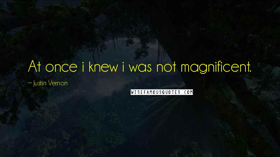 Justin Vernon Quotes: At once i knew i was not magnificent.