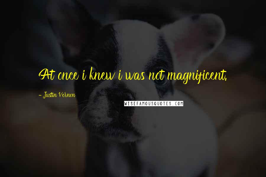 Justin Vernon Quotes: At once i knew i was not magnificent.