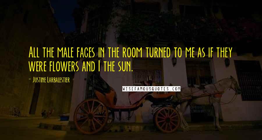 Justine Larbalestier Quotes: All the male faces in the room turned to me as if they were flowers and I the sun.