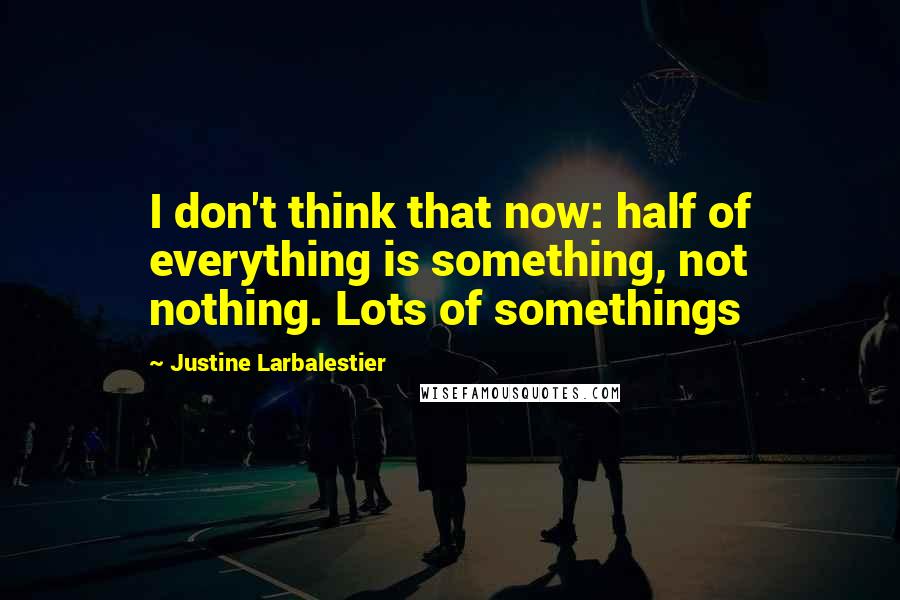 Justine Larbalestier Quotes: I don't think that now: half of everything is something, not nothing. Lots of somethings