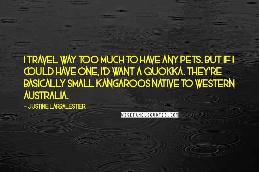 Justine Larbalestier Quotes: I travel way too much to have any pets. But if I could have one, I'd want a quokka. They're basically small kangaroos native to Western Australia.
