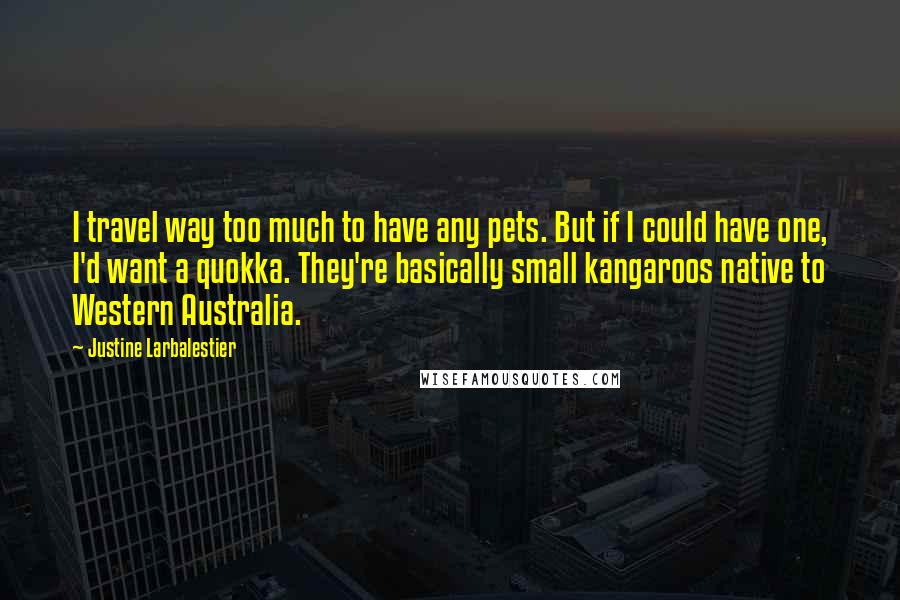 Justine Larbalestier Quotes: I travel way too much to have any pets. But if I could have one, I'd want a quokka. They're basically small kangaroos native to Western Australia.