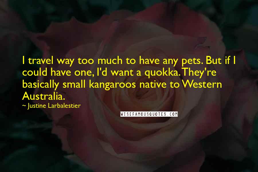 Justine Larbalestier Quotes: I travel way too much to have any pets. But if I could have one, I'd want a quokka. They're basically small kangaroos native to Western Australia.