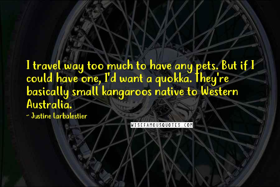 Justine Larbalestier Quotes: I travel way too much to have any pets. But if I could have one, I'd want a quokka. They're basically small kangaroos native to Western Australia.