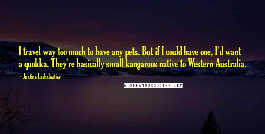 Justine Larbalestier Quotes: I travel way too much to have any pets. But if I could have one, I'd want a quokka. They're basically small kangaroos native to Western Australia.