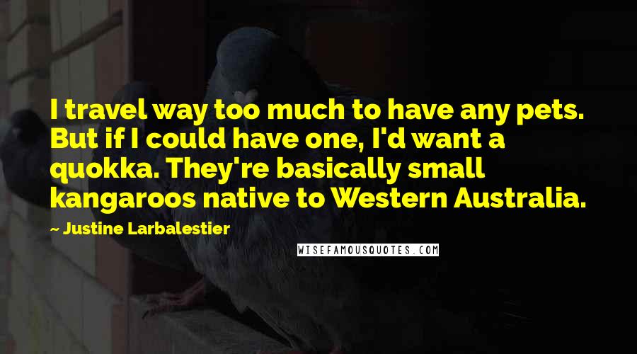 Justine Larbalestier Quotes: I travel way too much to have any pets. But if I could have one, I'd want a quokka. They're basically small kangaroos native to Western Australia.