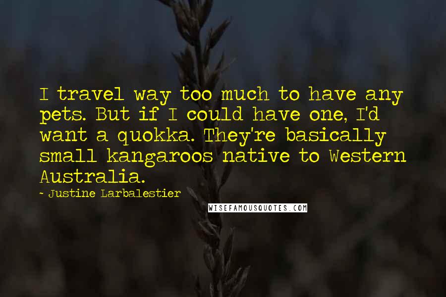 Justine Larbalestier Quotes: I travel way too much to have any pets. But if I could have one, I'd want a quokka. They're basically small kangaroos native to Western Australia.