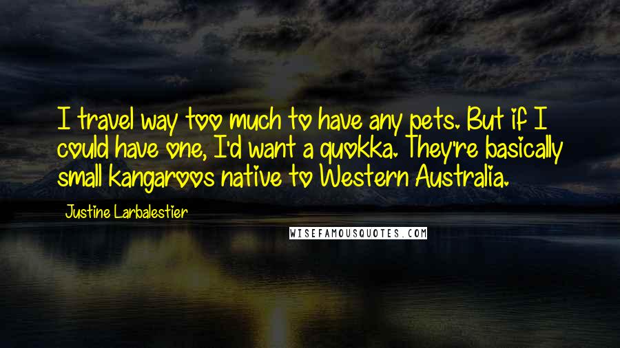 Justine Larbalestier Quotes: I travel way too much to have any pets. But if I could have one, I'd want a quokka. They're basically small kangaroos native to Western Australia.