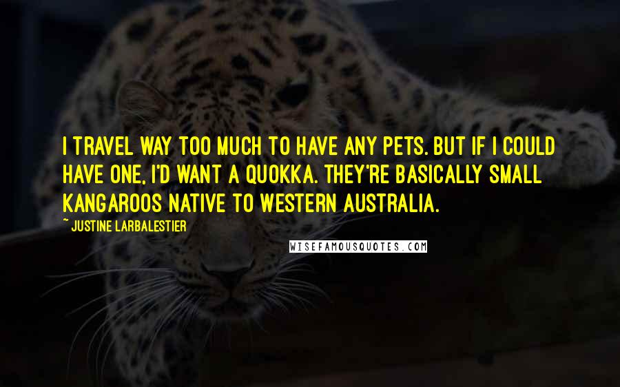 Justine Larbalestier Quotes: I travel way too much to have any pets. But if I could have one, I'd want a quokka. They're basically small kangaroos native to Western Australia.