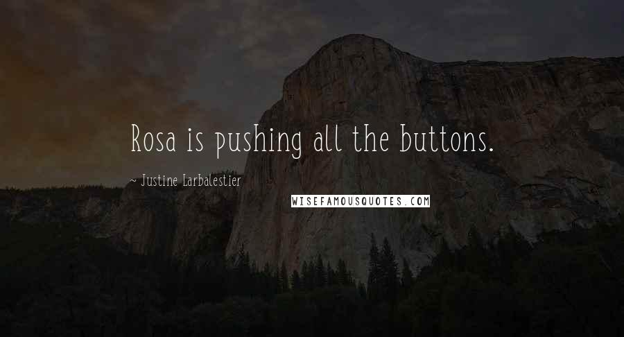 Justine Larbalestier Quotes: Rosa is pushing all the buttons.