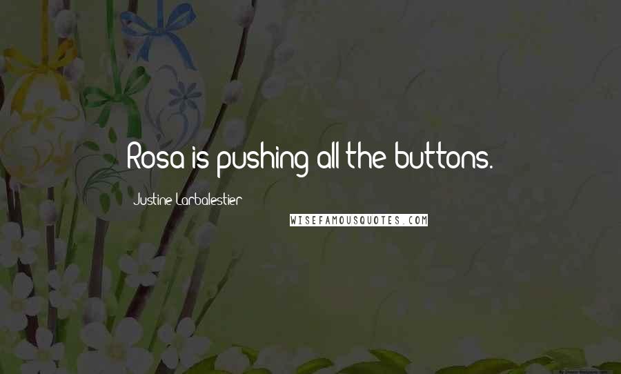 Justine Larbalestier Quotes: Rosa is pushing all the buttons.