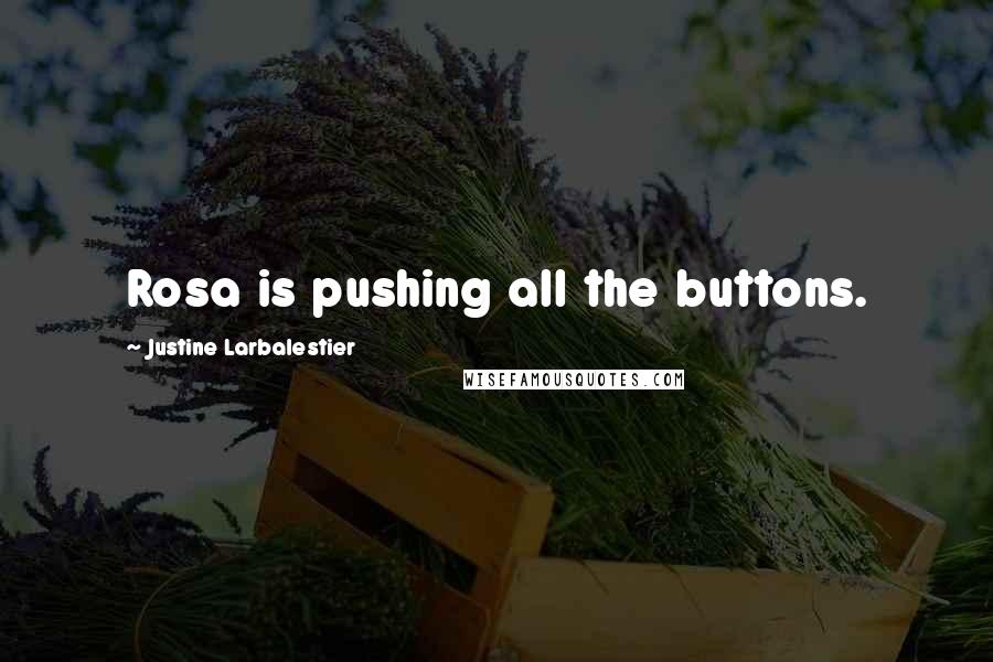 Justine Larbalestier Quotes: Rosa is pushing all the buttons.