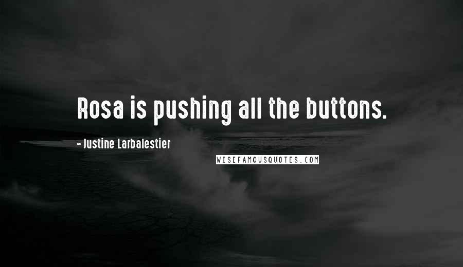 Justine Larbalestier Quotes: Rosa is pushing all the buttons.