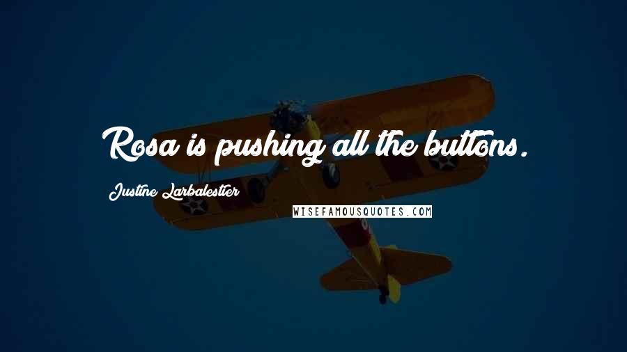 Justine Larbalestier Quotes: Rosa is pushing all the buttons.