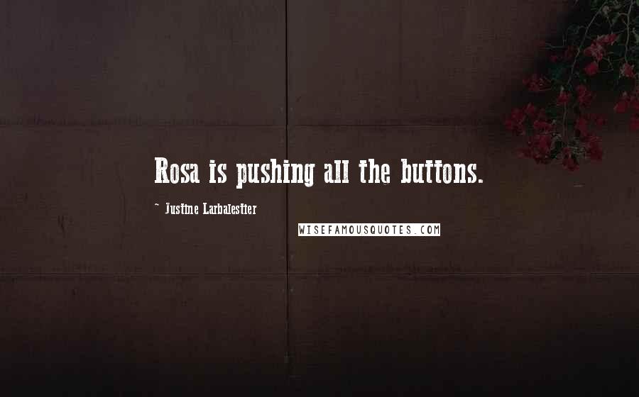 Justine Larbalestier Quotes: Rosa is pushing all the buttons.