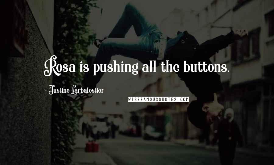 Justine Larbalestier Quotes: Rosa is pushing all the buttons.