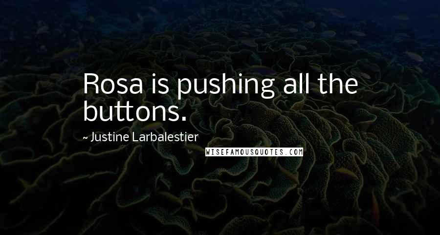 Justine Larbalestier Quotes: Rosa is pushing all the buttons.