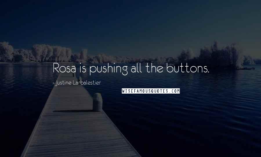 Justine Larbalestier Quotes: Rosa is pushing all the buttons.